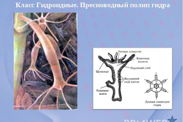 Как зайти на кракен через тор