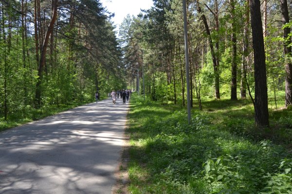 Кракен 16 at