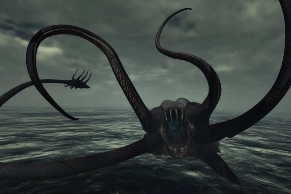 Kraken market